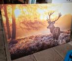 Groot foto canvas edelhert schilderij, Ophalen, Schilderij, Minder dan 50 cm