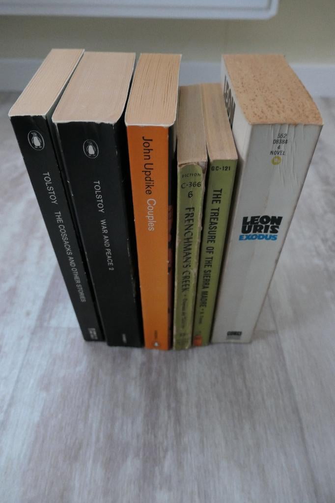 6 Engelstalige literatuur pockets, Ophalen of Verzenden, Gelezen