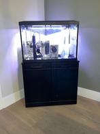Compleet Aquarium incl. Onderkast, Dieren en Toebehoren, Ophalen, Gebruikt, Leeg aquarium