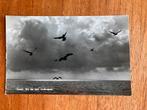 Texel. Als de zon ondergaat. 1960., Ophalen of Verzenden, 1940 tot 1960, Gelopen, Waddeneilanden