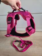 Honden tuig met riem, Ophalen of Verzenden, Zo goed als nieuw, Hondenriem