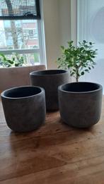 Potten saar earth betonlook goud, Ophalen of Verzenden, Zo goed als nieuw