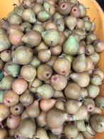 Stoofperen Gieser Wildeman, Ophalen of Verzenden