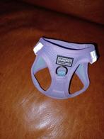 XXS TUIGJE VOOR PUPPY TOY OF CHIHUAHA., Dieren en Toebehoren, Ophalen of Verzenden, Nieuw, Hondenriem