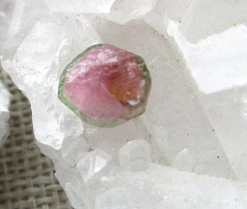 Toermalijn watermeloen - ruw - ringsteen, Verzamelen, Mineralen en Fossielen, Mineraal, Ophalen of Verzenden