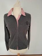 Blanche Vest Grijs Maat S, Kleding | Dames, Truien en Vesten, Ophalen of Verzenden, Zo goed als nieuw, Maat 36 (S), Grijs