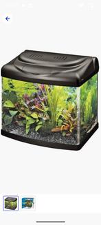 Mooi klein super fish aquarium met of zonder vissen, Ophalen, Gevuld zoetwateraquarium