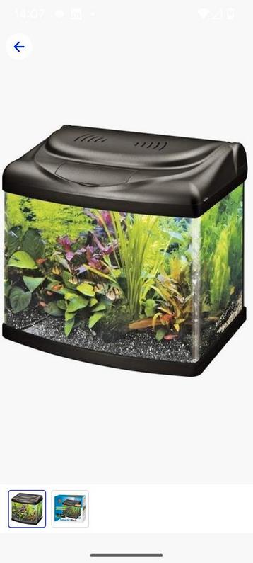 Mooi klein super fish aquarium met of zonder vissen  beschikbaar voor biedingen