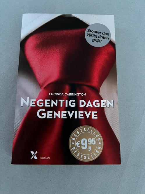 Lucinda Carrington - Negentig dagen Genevieve, Boeken, Literatuur, Zo goed als nieuw, Nederland, Ophalen of Verzenden