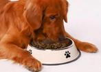 2st Grote Honden Voerbakken RVS ecr - incl. Grijze Placemat, Dieren en Toebehoren, Ophalen, Zo goed als nieuw