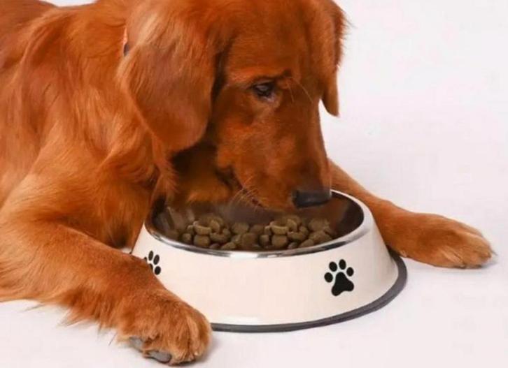 2st Grote Honden Voerbakken RVS ecr - incl. Grijze Placemat, Dieren en Toebehoren, Hondenvoerbakken en Drinkbakken, Zo goed als nieuw