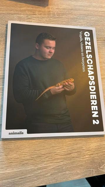 Animalis Gezelschapdieren 2 beschikbaar voor biedingen
