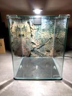 Dennerle Aquarium Nano Cube 20L Compleet, Dieren en Toebehoren, Vissen | Aquariumvissen, Vis, Zoetwatervis