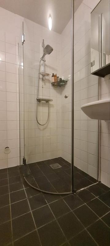 Halfronde Glazen Douchedeur beschikbaar voor biedingen