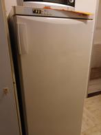 Miele Vrieskast - Betrouwbaar en Ruim, Witgoed en Apparatuur, Vriezers en Diepvrieskisten, Vrieskast, Gebruikt, Energieklasse A of zuiniger