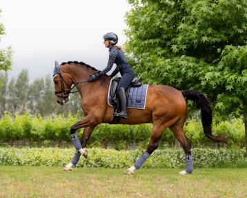 LeMieux Loire dressuur dekje Jay Blue full SUMMER SALE -35%! beschikbaar voor biedingen