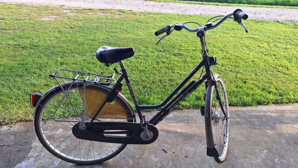 Trouwe stalen ros met karakter zoekt nieuwe eigenaar, Fietsen en Brommers, Fietsen | Dames | Damesfietsen, Ophalen