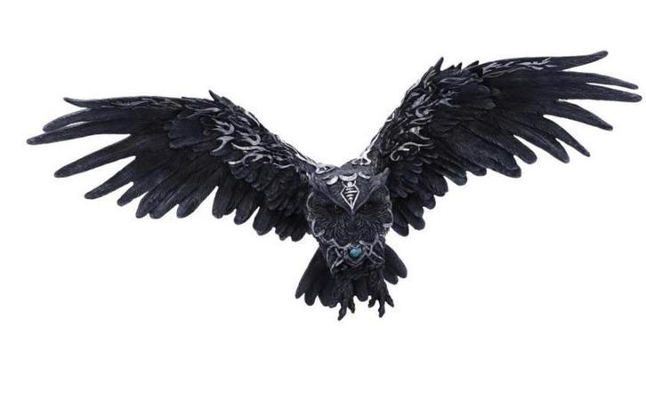 Nemesis Now Dark Feather Uil Beeld - 55cm Gotische Decoratie, Antiek en Kunst, Kunst | Beelden en Houtsnijwerken, Ophalen of Verzenden