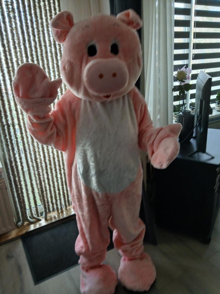 Te koop varken kostuum, Ophalen, Carnaval