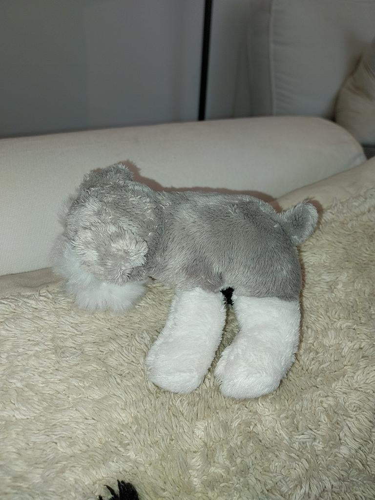 Paws hond schnauzer, Ophalen of Verzenden, Hond
