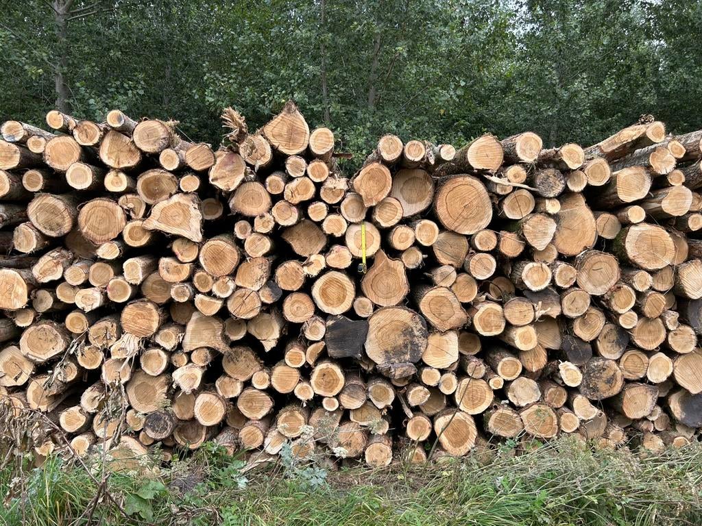 Inkoop (grote) partijen stamhout / boomstammen, Tuin en Terras, Haardhout, Ophalen
