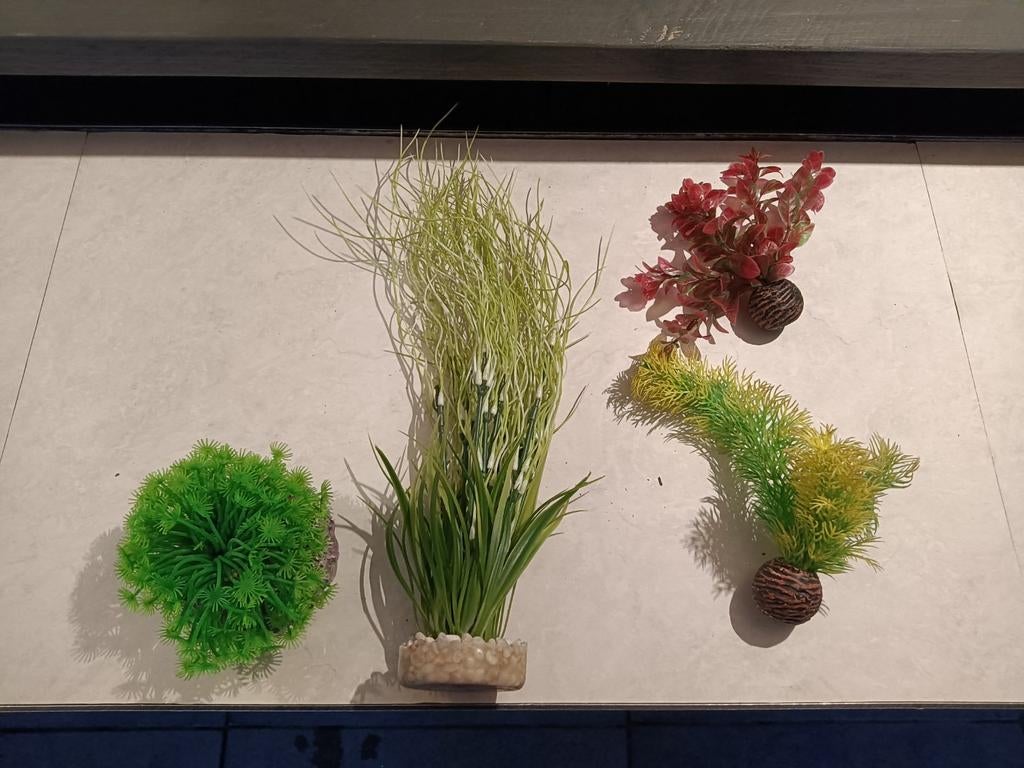 Aquarium plantjes, Ophalen, Gebruikt, Plant(en), Steen of Hout