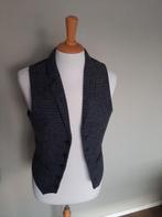 Nieuw gilet maat 46 van Harris Tweed ., Kleding | Heren, Harris Tweed, Overige kleuren, Nieuw, Ophalen of Verzenden