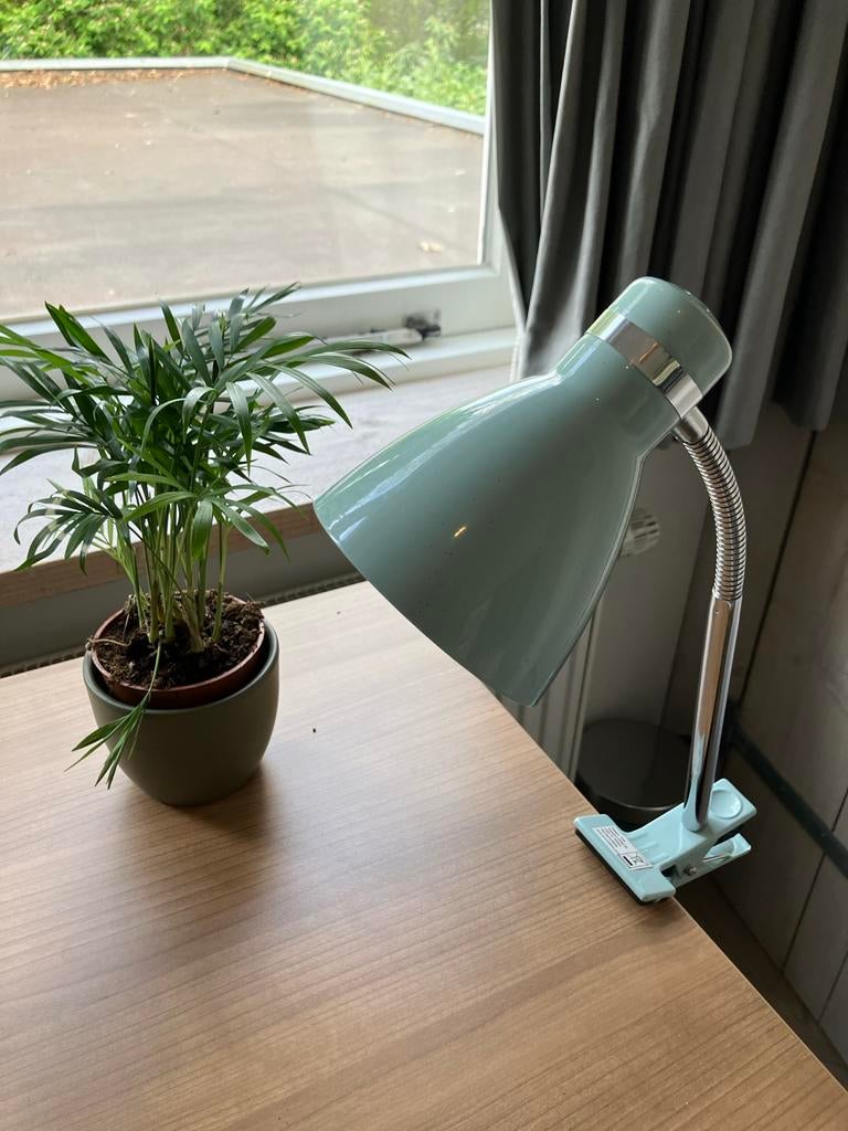 Bureau-/leeslamp met klem, mintgroen, Present Time, Ophalen, Zo goed als nieuw, Metaal, 50 tot 75 cm