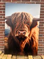 Canvas schotse hooglander xl afhaal €15,-, Ophalen, Nieuw, Schilderij, 100 tot 125 cm