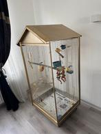 Twee kanaries stelletje leggen ook eiren +kooi, Dieren en Toebehoren, Vogels | Hokken en Kooien, Ophalen of Verzenden, Zo goed als nieuw