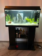 Aquarium inclusief meubel, Dieren en Toebehoren, Vissen | Aquaria en Toebehoren, Ophalen of Verzenden, Gevuld zoetwateraquarium