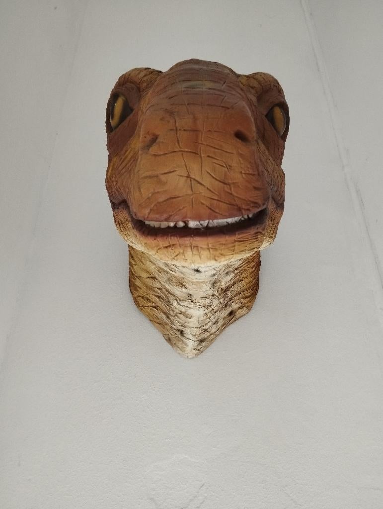 Dino kop voor aan de muur, Ophalen, Gebruikt