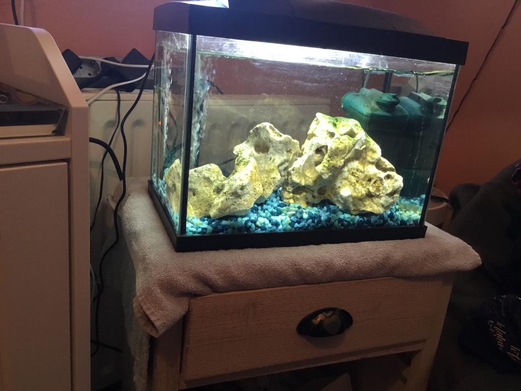 Aquarium en toebehoren ( zie omschrijving)voor €125,00, Ophalen, Zo goed als nieuw, Leeg aquarium, Superfish