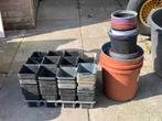 Plastic plantcontainers plantpotjes (heel veel), Ophalen, Kunststof, Gebruikt, Minder dan 30 cm