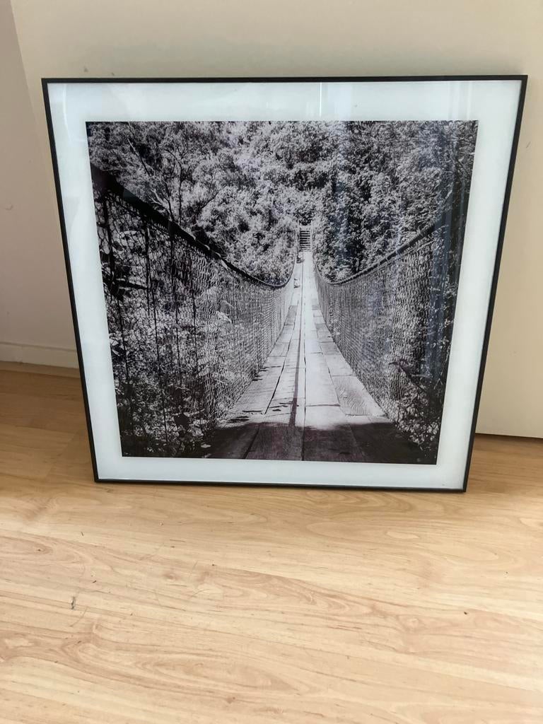 Glasplaat foto hangbrug 57 x 57 cm, Ophalen, Zo goed als nieuw, Foto of Poster, 50 tot 75 cm