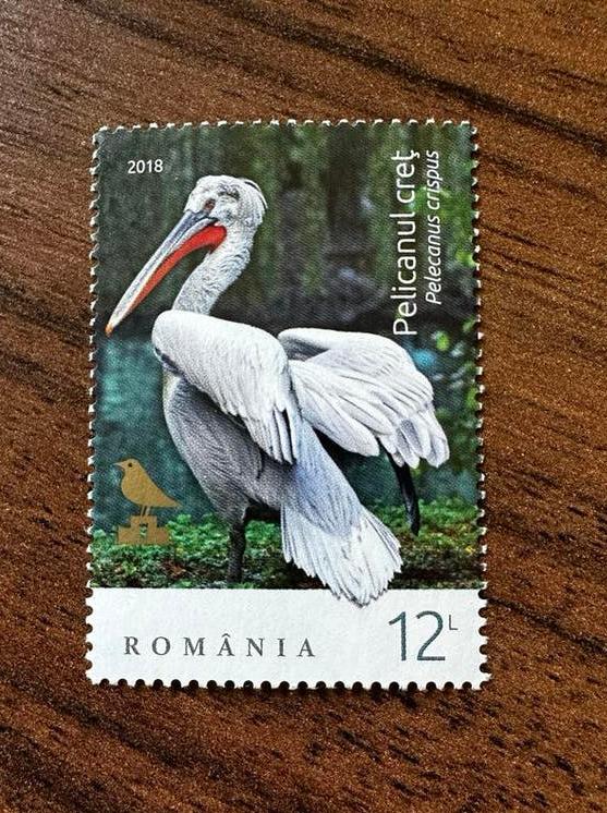 Roemenië 2018 Pelikaan vogels postfris, Ophalen of Verzenden, Overige landen, Postfris