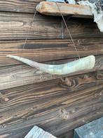 Hoorn van stier, Ophalen of Verzenden, Zo goed als nieuw