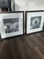 2 mooie printen in zware lijst ieders 55x55 cm, Ophalen, Zo goed als nieuw, Minder dan 50 cm, Minder dan 50 cm