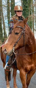 Western hoofdstel zonder teugels full/cob maat quater, Ophalen of Verzenden, Zo goed als nieuw, Western