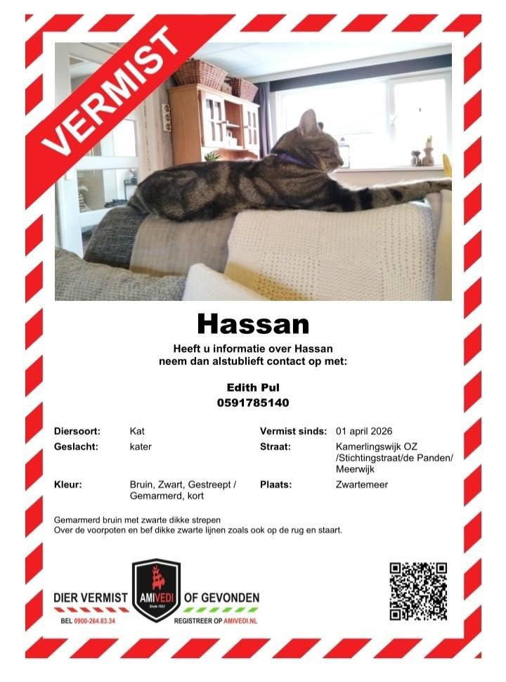 Vermist sinds woensdag 1 april in Zwartemeer: HASSAN, Dieren en Toebehoren, Vermiste en Gevonden Dieren