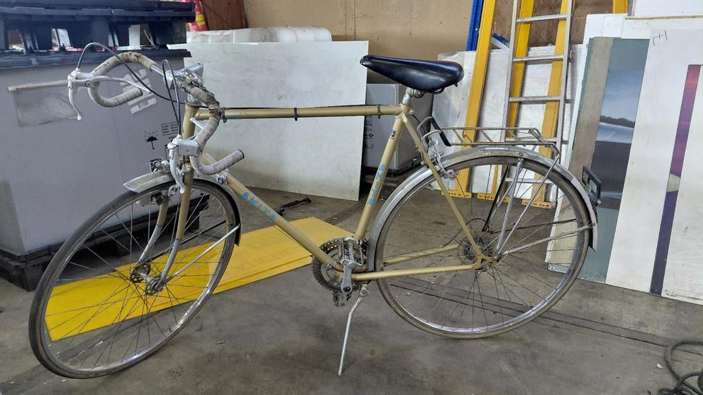 Opknapper: Mooie Akita fiets zonder ketting, Ophalen