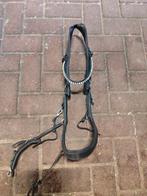 Presteq hoofdstel, Dieren en Toebehoren, Paarden en Pony's | Hoofdstellen en Tuigage, Ophalen of Verzenden, Zo goed als nieuw