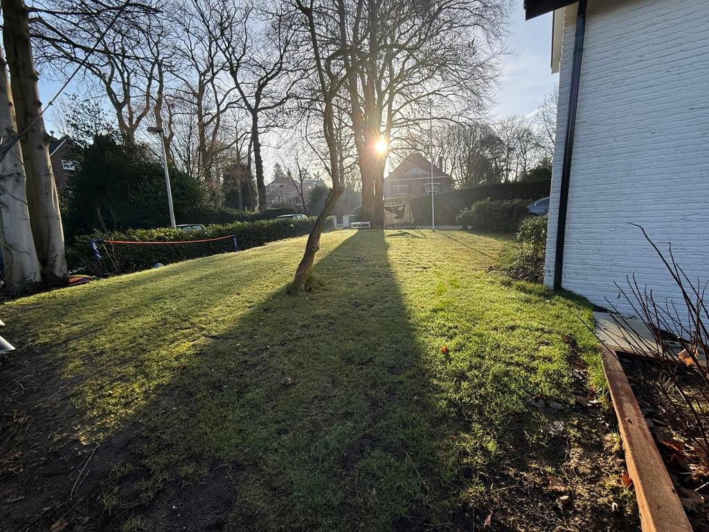 Oppas gezocht Bussum, Oppas aan huis