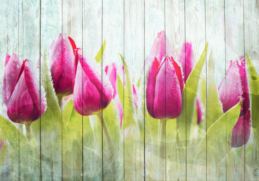 Tulpen op hout fotobehang, VLIES, bloemen, Muurdeco4kids, Huis en Inrichting, Stoffering | Behang, Verzenden, Minder dan 10 m²