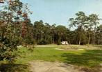 Camping Harskamperdennen - gelopen, Ophalen of Verzenden, Voor 1920, Gelopen, Noord-Brabant
