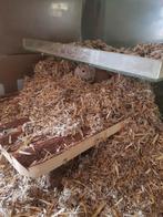 Gerbils, Dieren en Toebehoren, Minder dan 60 cm, Kooi, Minder dan 75 cm, Ophalen of Verzenden