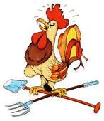 Kaarten  gezocht Normaal 14 Mei 2026, Drie personen of meer