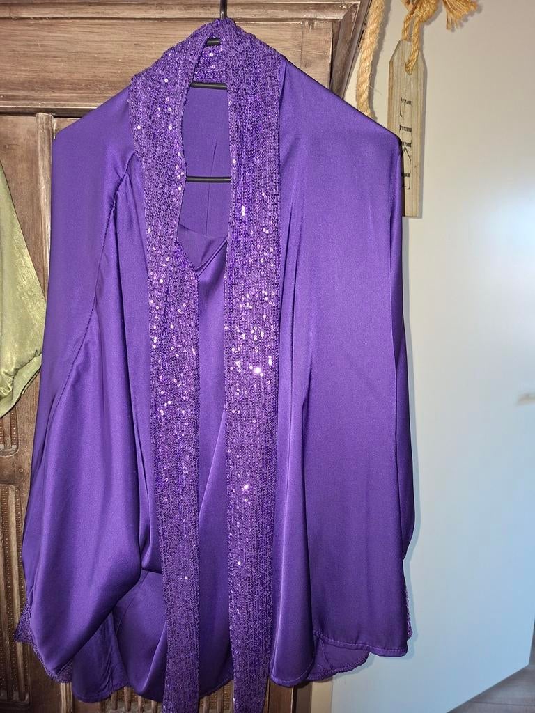 Mooi feest blouse met glitter paars maat 40/42, Ophalen of Verzenden, Zo goed als nieuw, Maat 38/40 (M), Paars