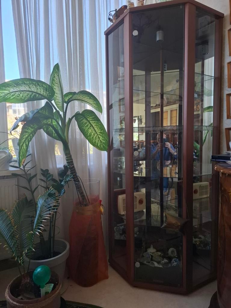 Hoek vitrinekast met verlichting, Huis en Inrichting, Kasten | Vitrinekasten, Ophalen, 25 tot 50 cm, 50 tot 100 cm, 150 tot 200 cm