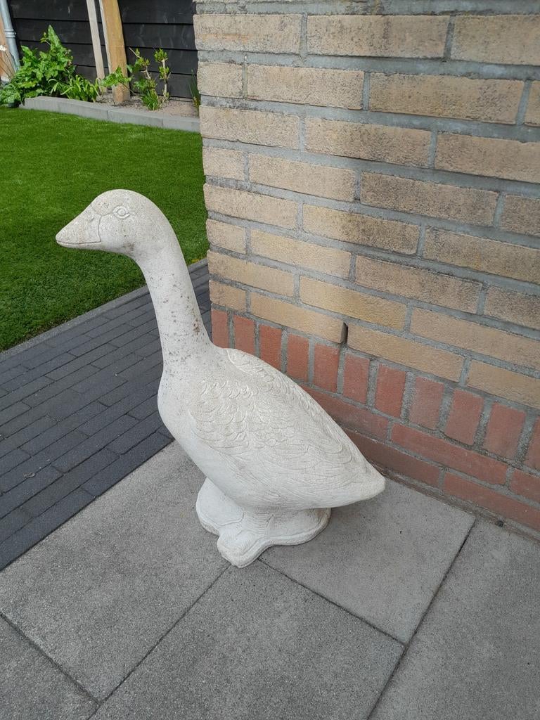 Gans, Ophalen, Steen